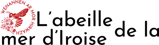 logo-labeilledelamerdiroise.com