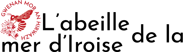 logo-labeilledelamerdiroise.com